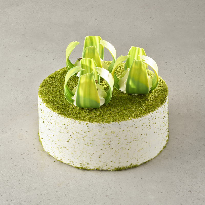 Pistachio Cake (mini)