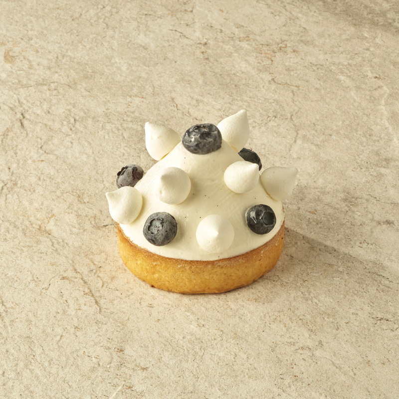 Blueberry-Vanilla Tart